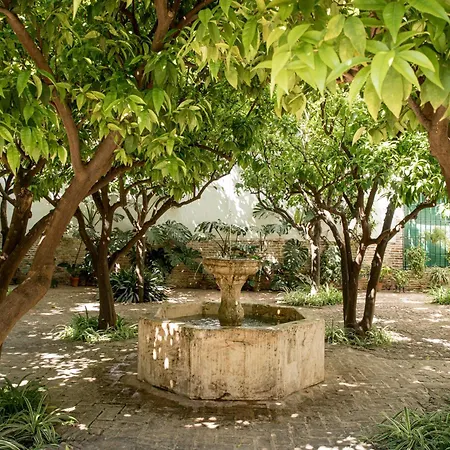 Homestay Casa Palacio De Palma Ecija